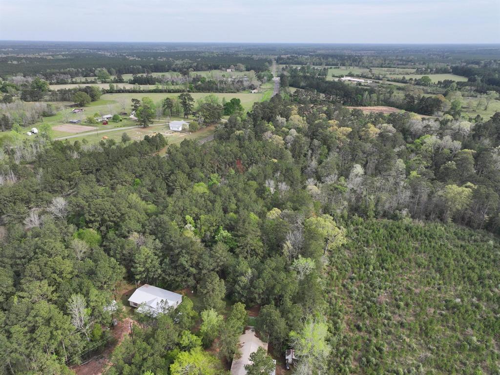 000 Fm-252, Jasper, Texas image 17