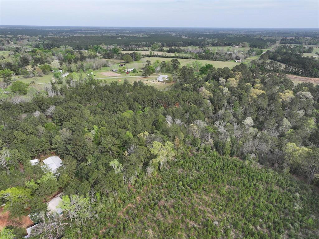 000 Fm-252, Jasper, Texas image 22