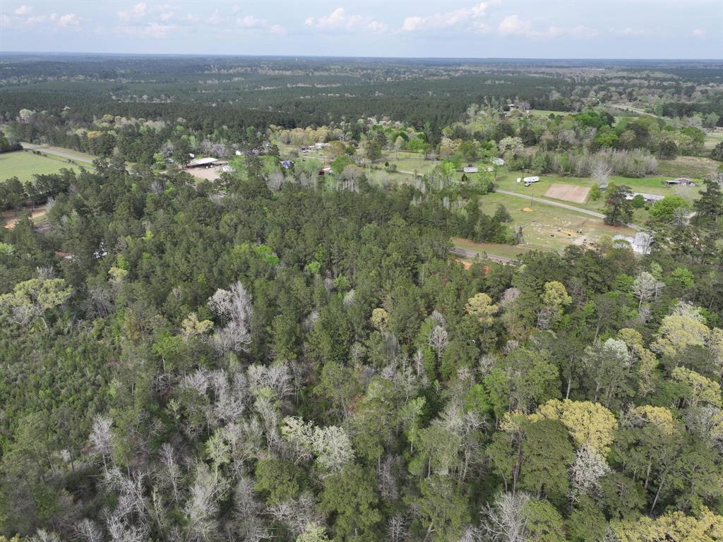 000 Fm-252, Jasper, Texas image 20