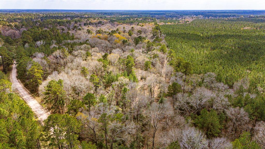 4102 Holly Grove Road, Livingston, Texas image 2