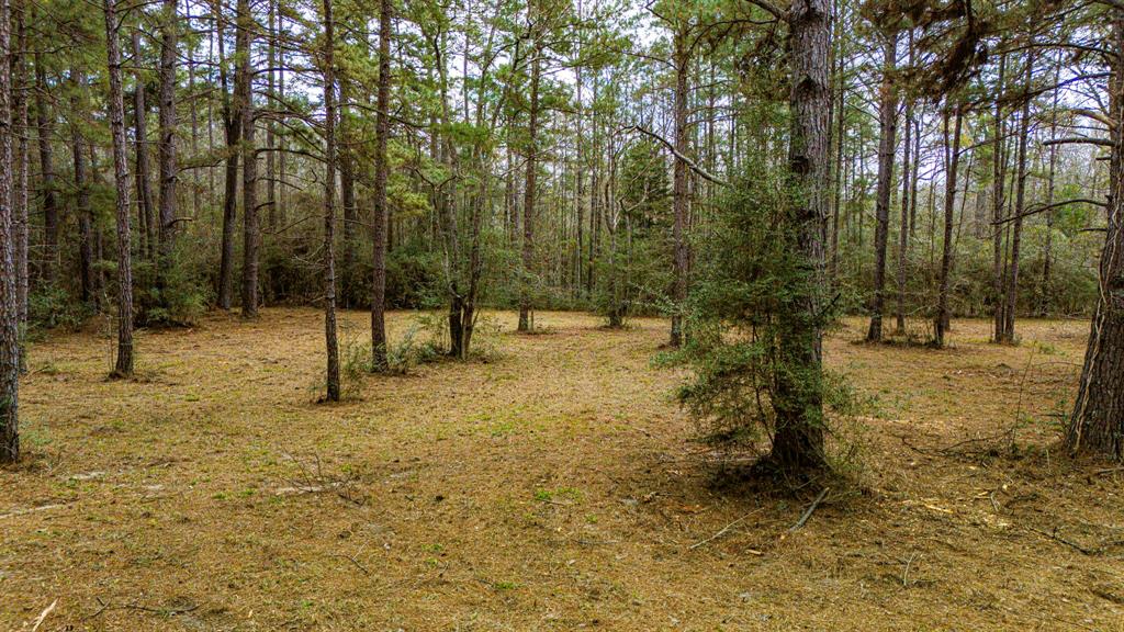 4102 Holly Grove Road, Livingston, Texas image 14