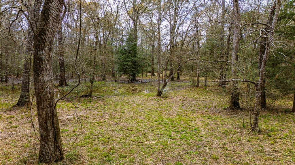 4102 Holly Grove Road, Livingston, Texas image 16