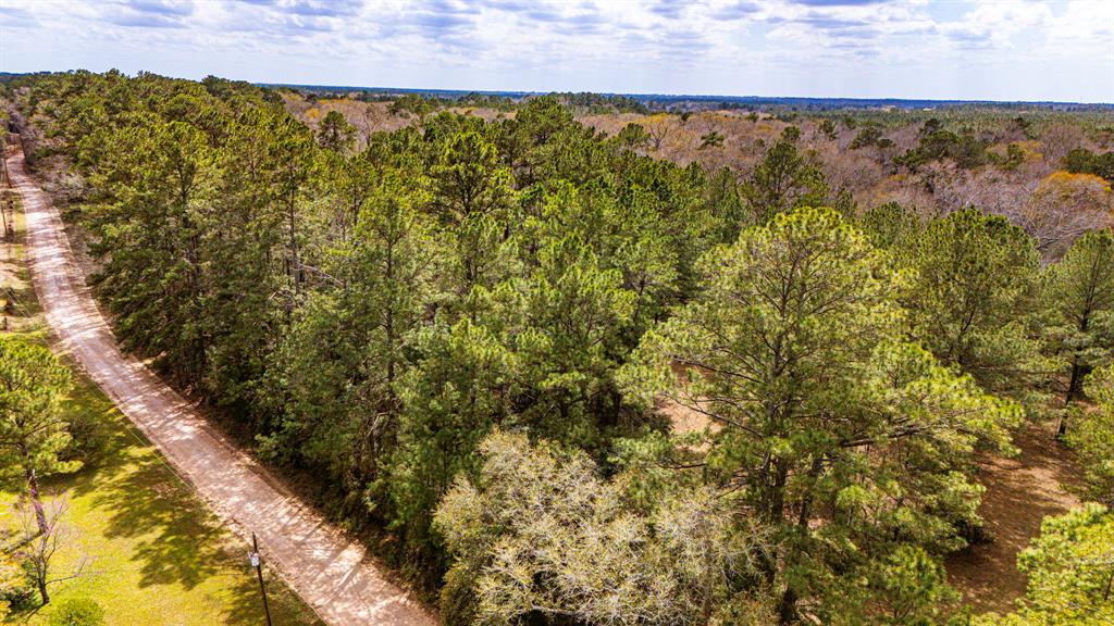 4102 Holly Grove Road, Livingston, Texas image 18