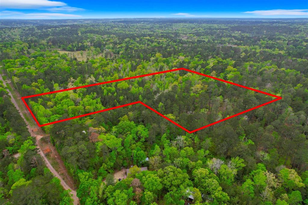 433 Saddle Surrey Lane