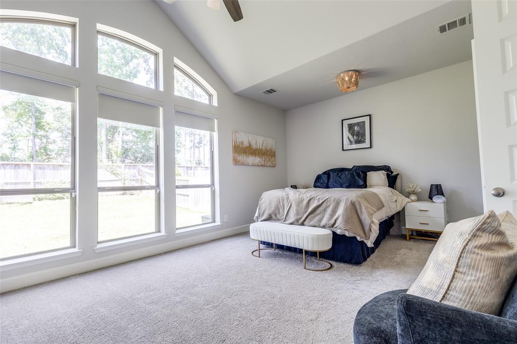 546 Carina Gaze Drive, Willis, Texas image 11