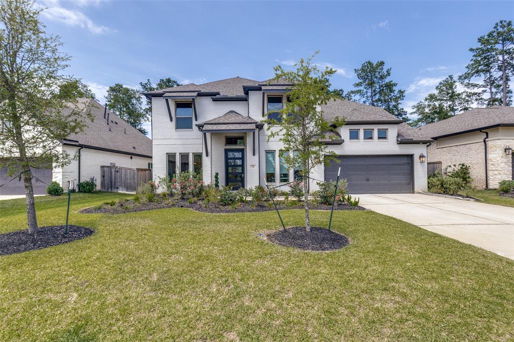 546 Carina Gaze Drive, Willis, Texas image 5