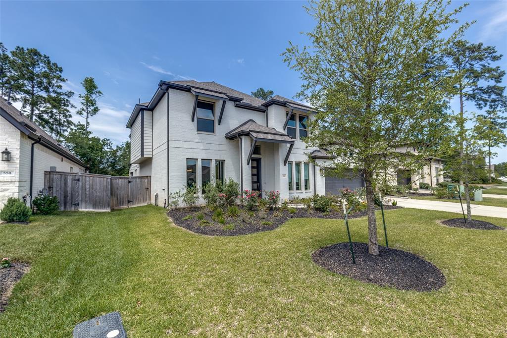 546 Carina Gaze Drive, Willis, Texas image 8
