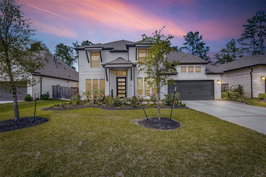 546 Carina Gaze Drive, Willis, Texas image 1