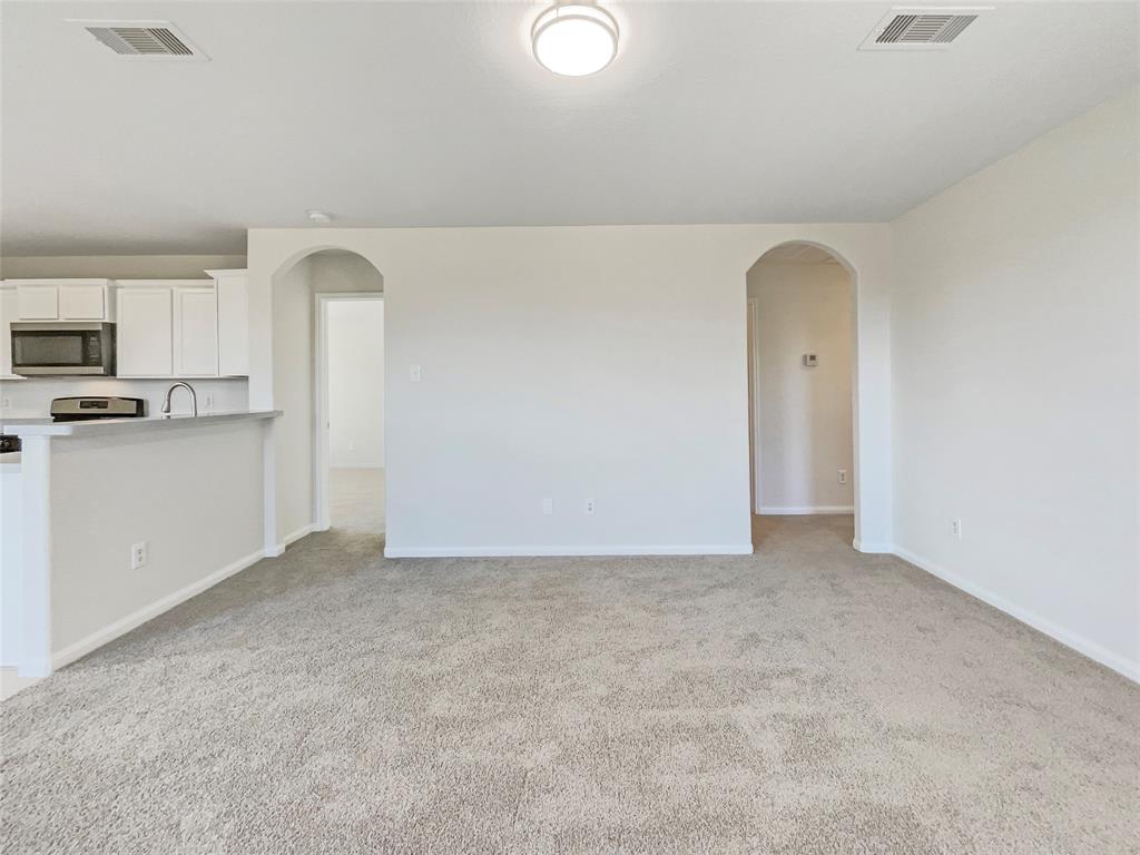 26931 Wild Duck Lane, Hockley, Texas image 10