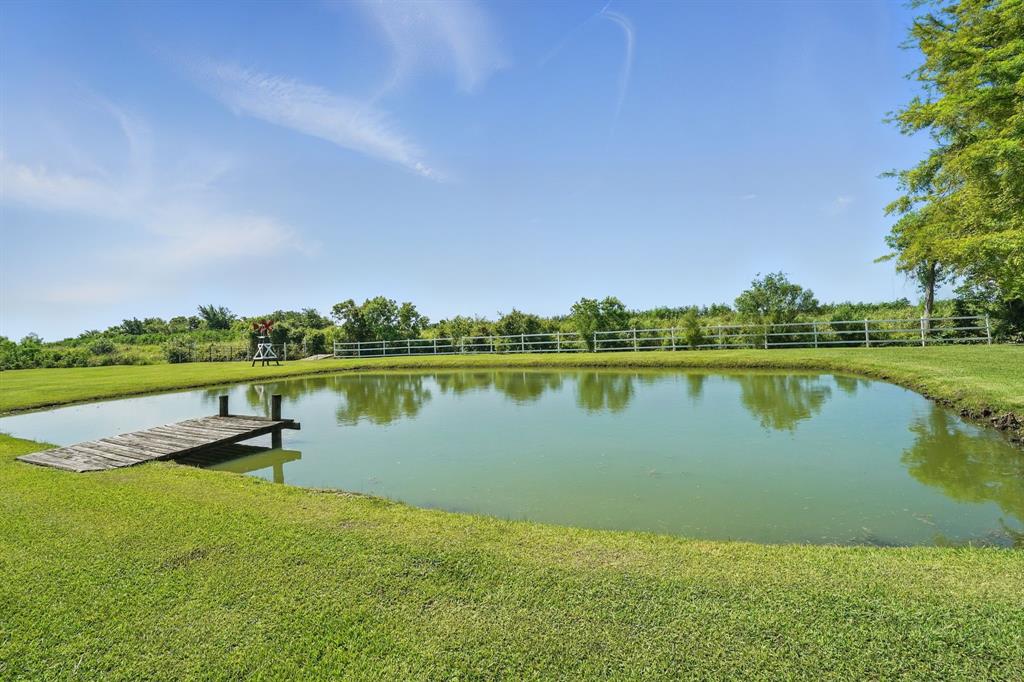 7409 Reed Lane, Manvel, Texas image 29