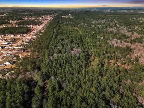 Photo of 0 A0186 - Dease Conley, Tract 15, Acres 20, Conroe, TX 77303 (MLS # 2833565)