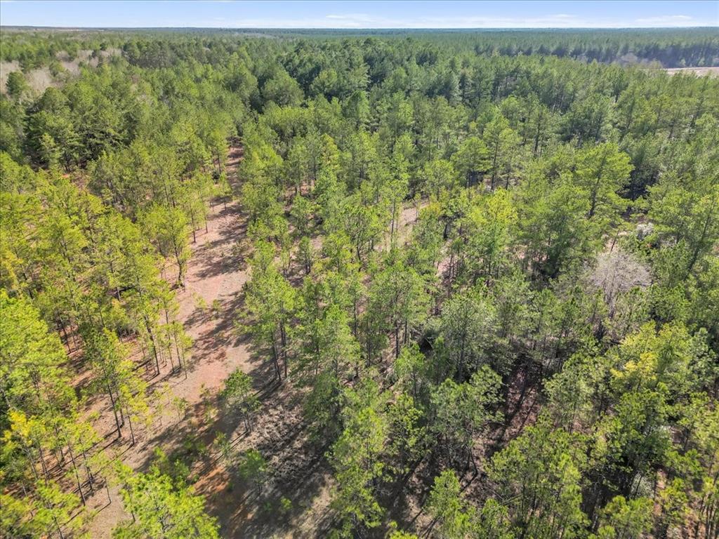 0 A0186 - DEASE CONLEY, TRACT 15, ACRES 20