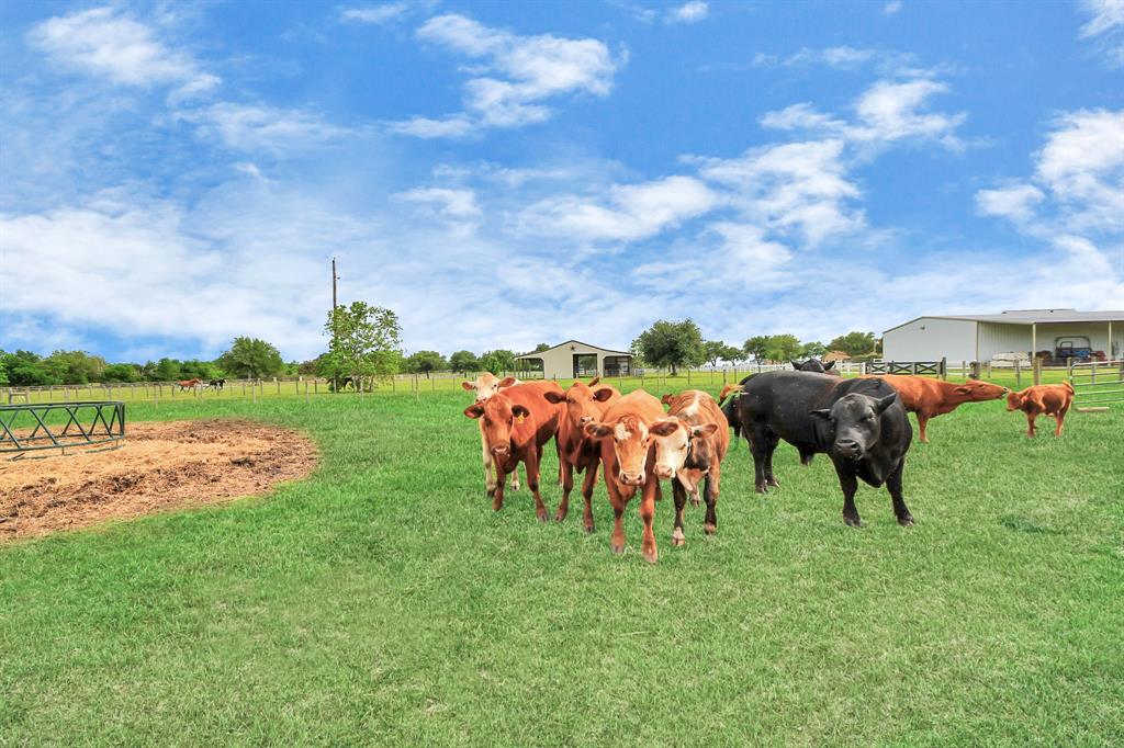 14635 Penick Road, Waller, Texas image 45