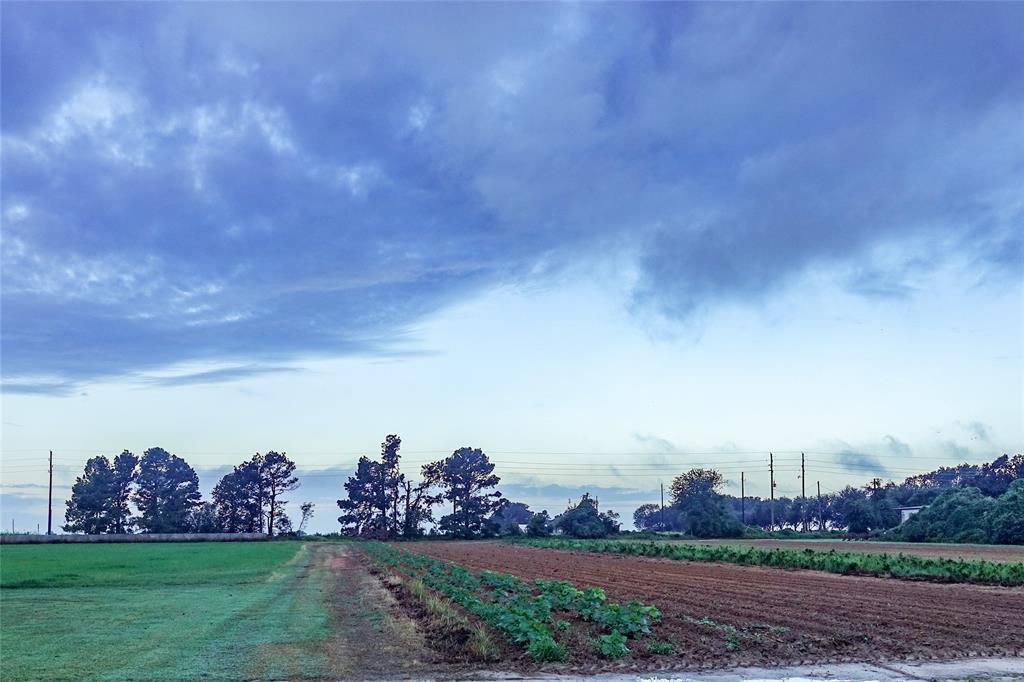000 Penick Rd, Waller, Texas image 27