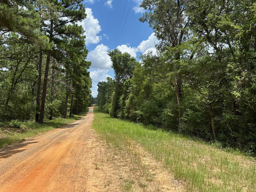 20 Ac Cr 293, Oakwood, Texas image 9