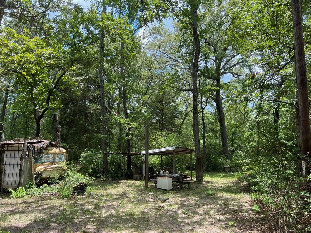 20 Ac Cr 293, Oakwood, Texas image 2