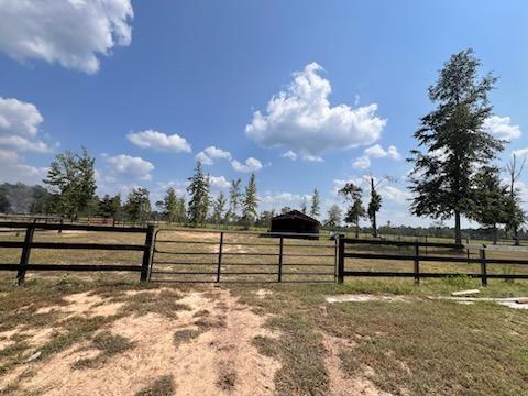 4378 Buie Road, Diana, Texas image 44