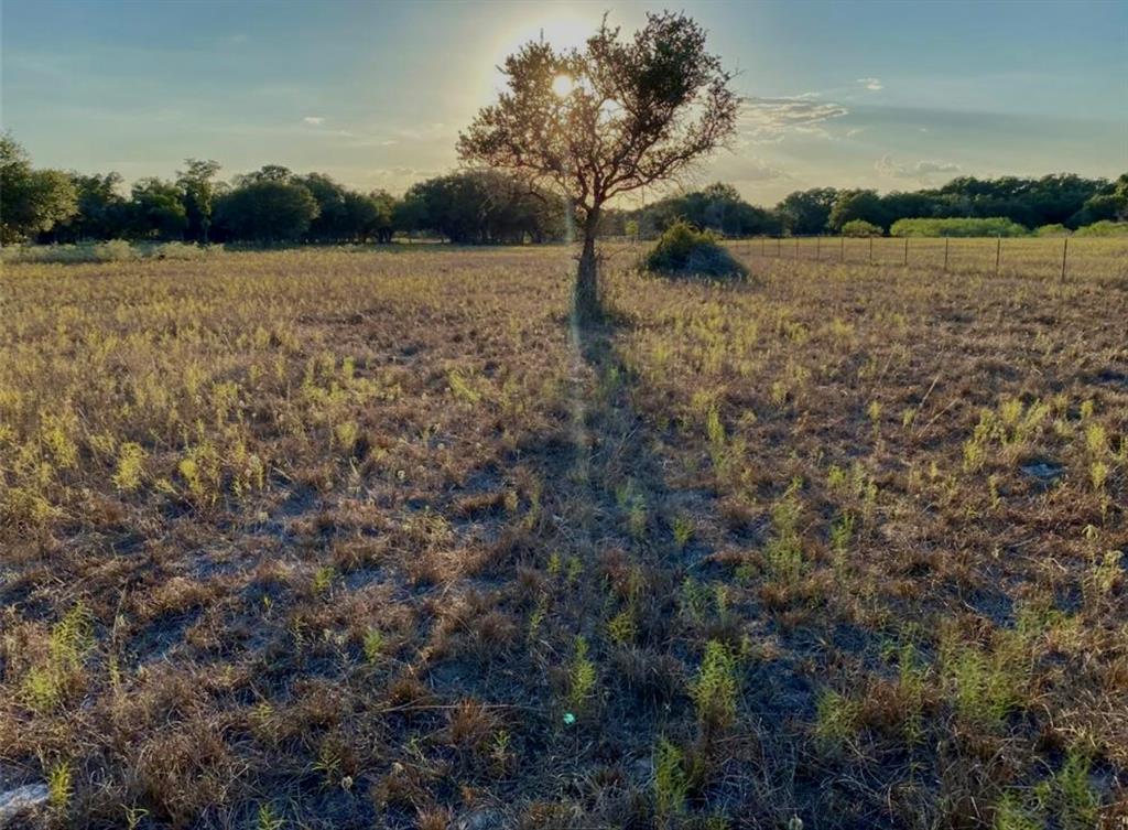 1253 2152, Sheridan, Texas image 7