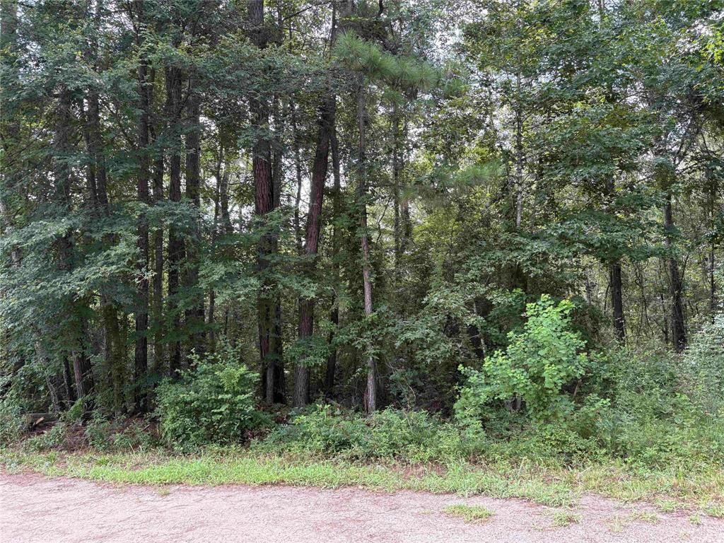 Photo of 19129 Durham Court, New Caney, TX 77357 (MLS # 39787827)