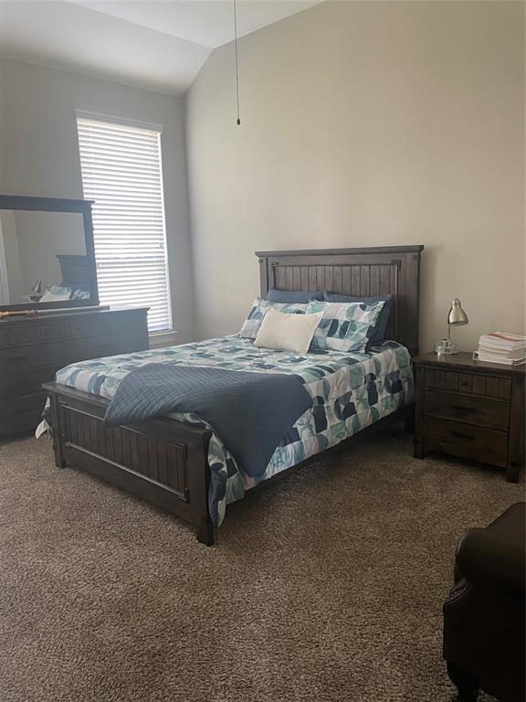 89 Grandview Boulevard, Montgomery, Texas image 14