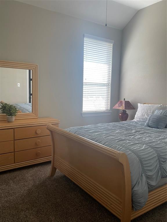 89 Grandview Boulevard, Montgomery, Texas image 13