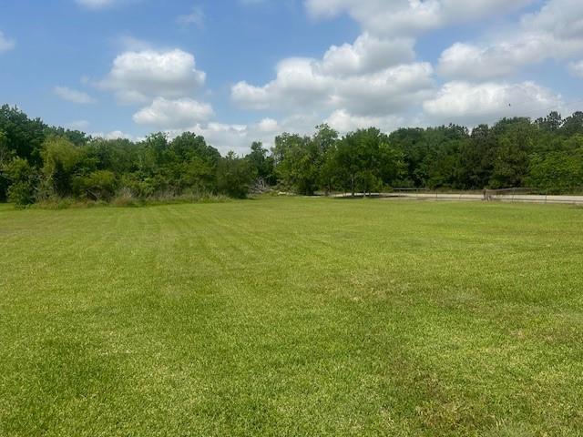 8518 Hawk Road, Pearland, Texas image 7