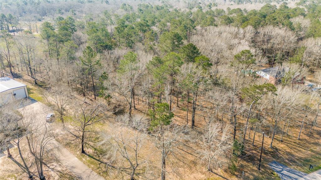 23922 Arrowhead Point, New Caney, Texas image 6