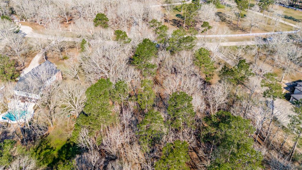 23922 Arrowhead Point, New Caney, Texas image 5