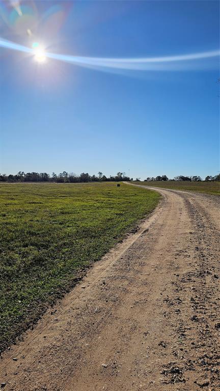 TBD Podraza Road, New Waverly, Texas image 1