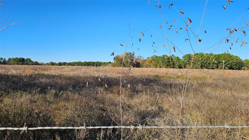 TBD Podraza Road, New Waverly, Texas image 3