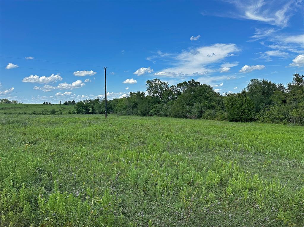 TBD Heinecke Road, Washington, Texas image 11