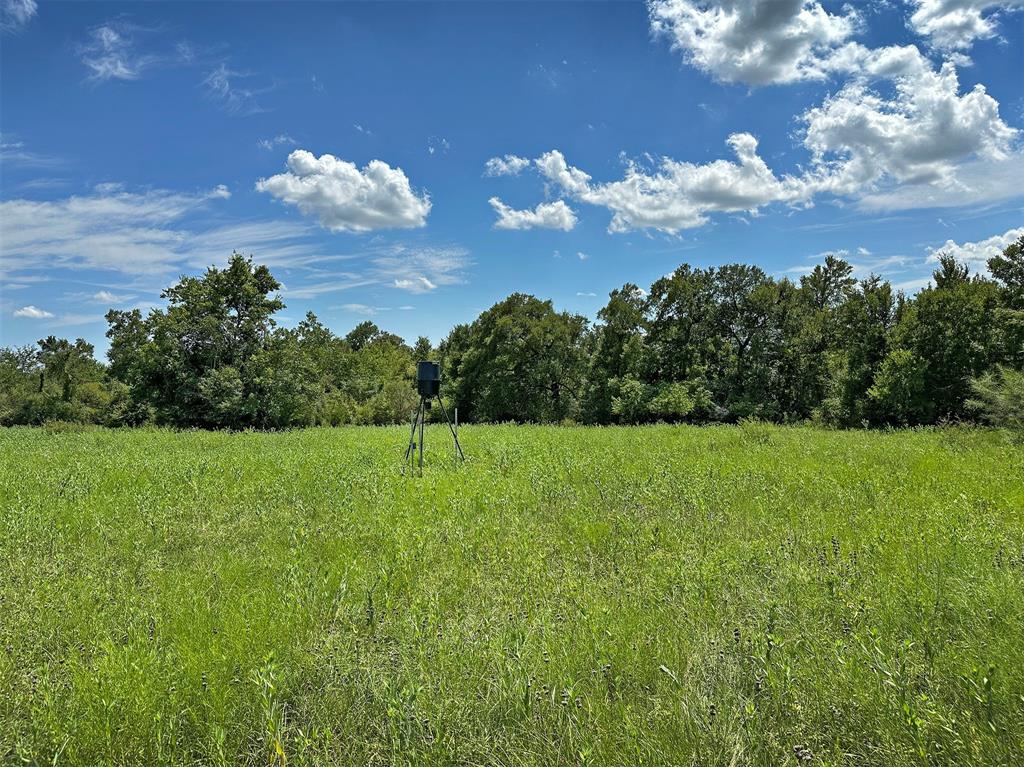 TBD Heinecke Road, Washington, Texas image 4