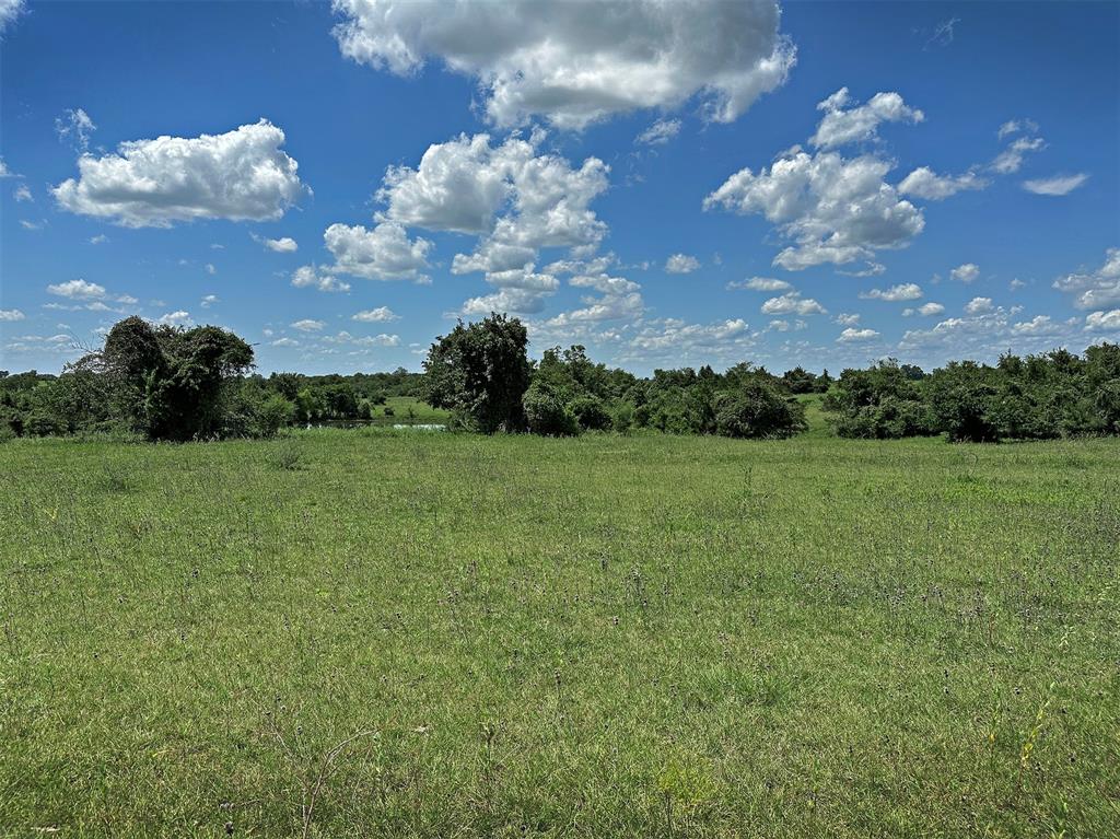 TBD Heinecke Road, Washington, Texas image 10