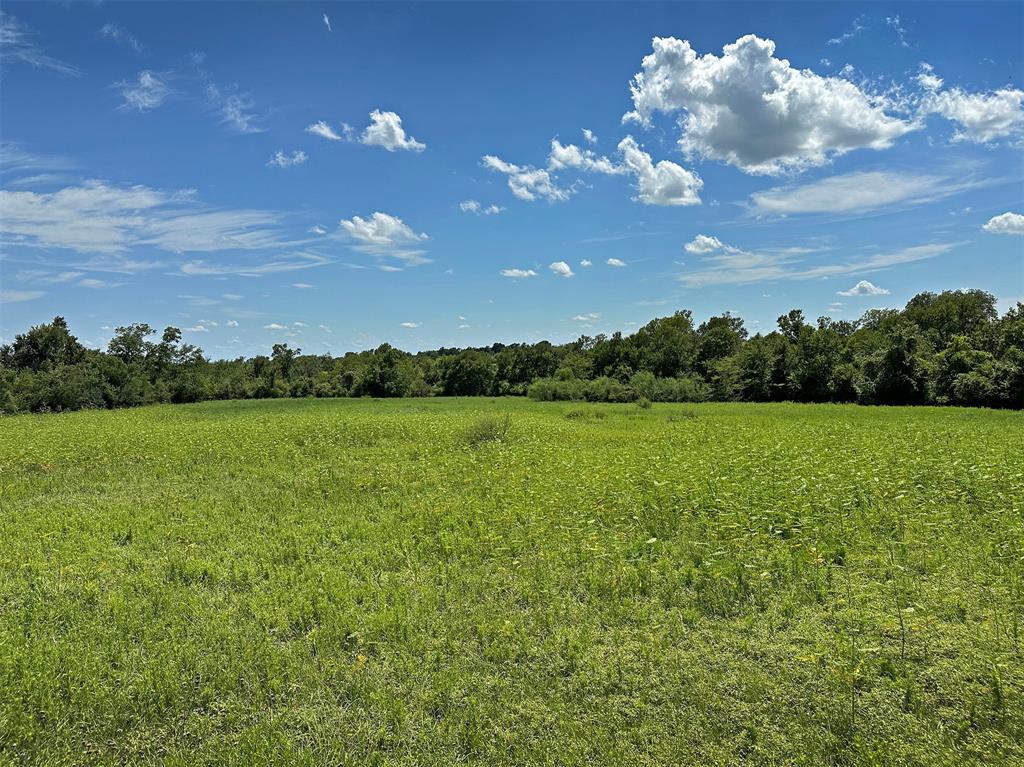 TBD Heinecke Road, Washington, Texas image 7