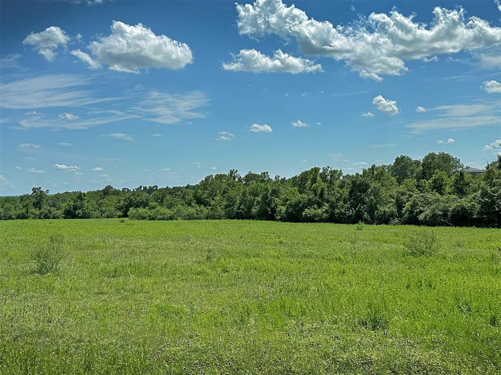 TBD Heinecke Road, Washington, Texas image 9