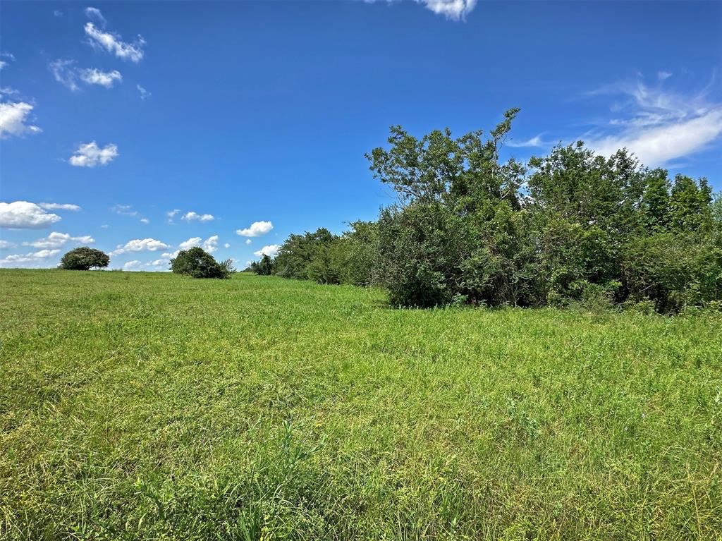 TBD Heinecke Road, Washington, Texas image 15