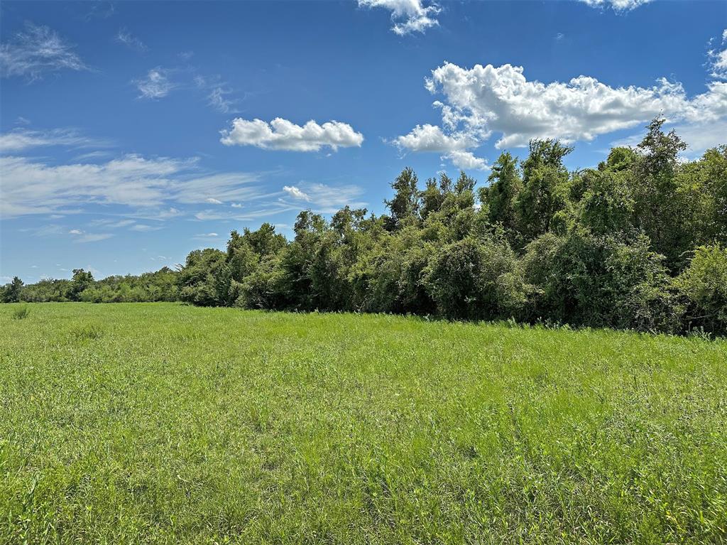 TBD Heinecke Road, Washington, Texas image 14