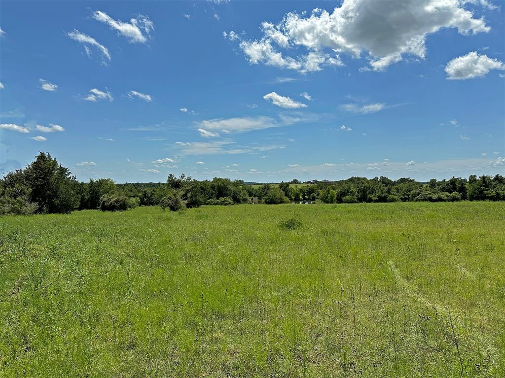 TBD Heinecke Road, Washington, Texas image 16