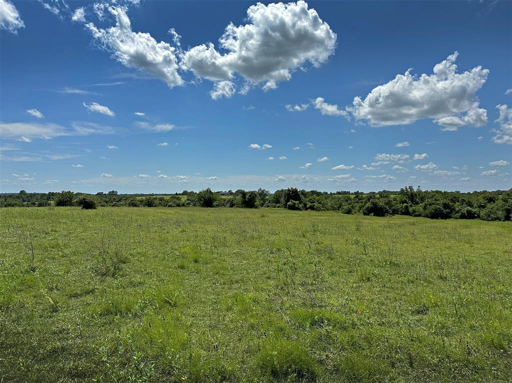 TBD Heinecke Road, Washington, Texas image 18