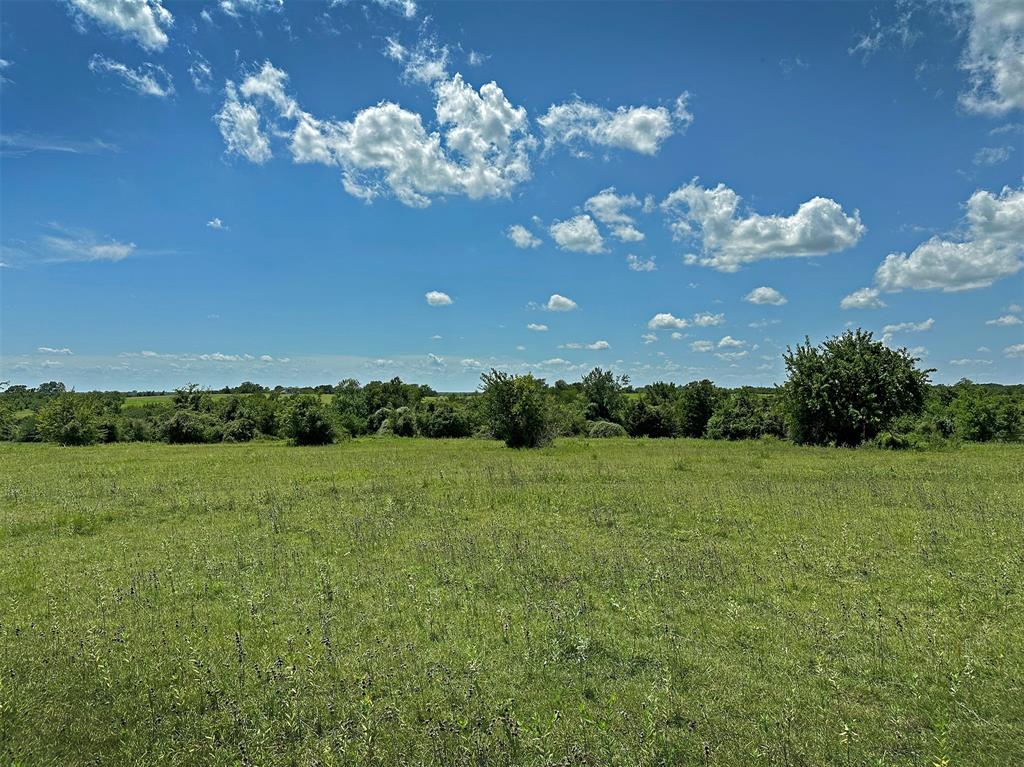 TBD Heinecke Road, Washington, Texas image 17