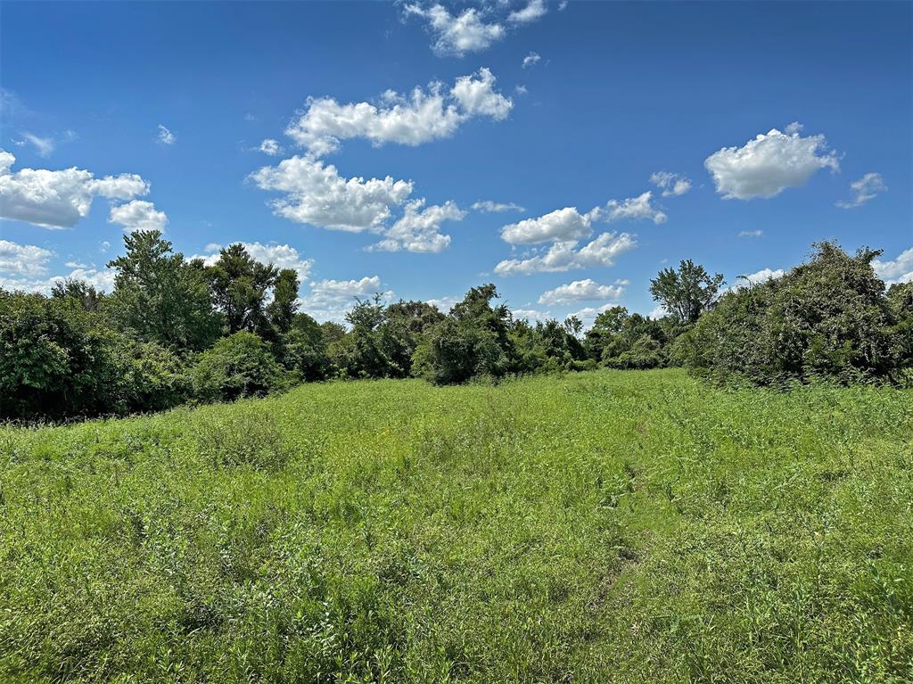 TBD Heinecke Road, Washington, Texas image 13