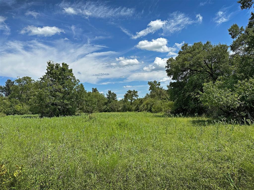 TBD Heinecke Road, Washington, Texas image 19