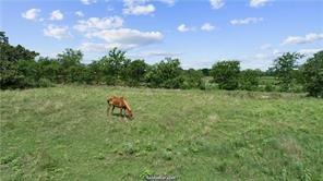 16685 Kelton Ln, Iola, Texas image 17
