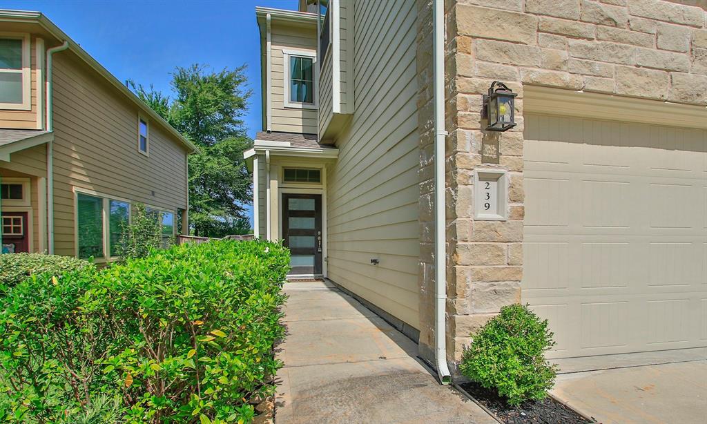 239 Biltmore Loop