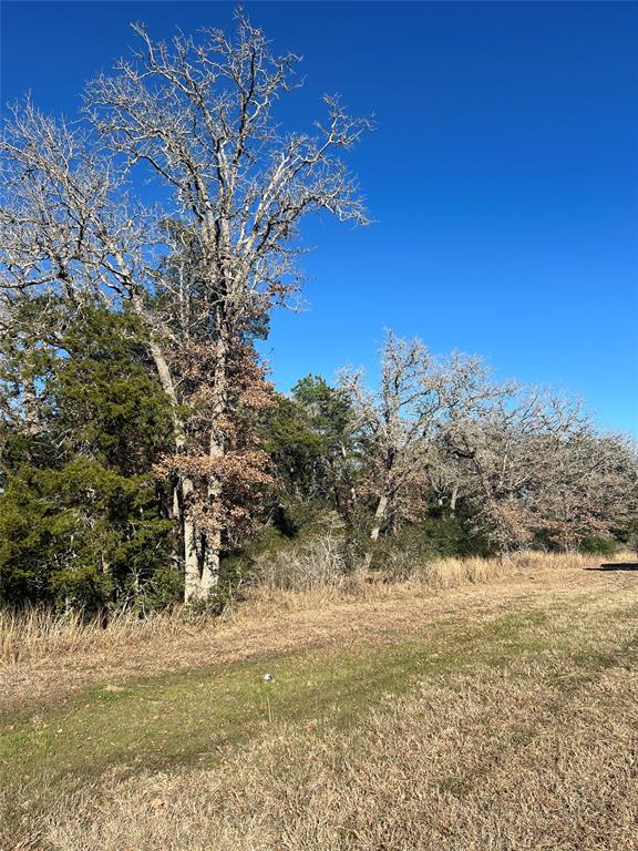 2002 Hrbacek Street, La Grange, Texas image 2