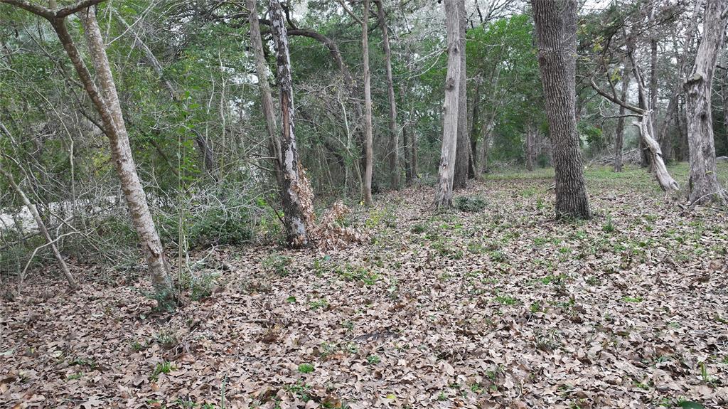 576 Hickory Bend Road, Brenham, Texas image 9