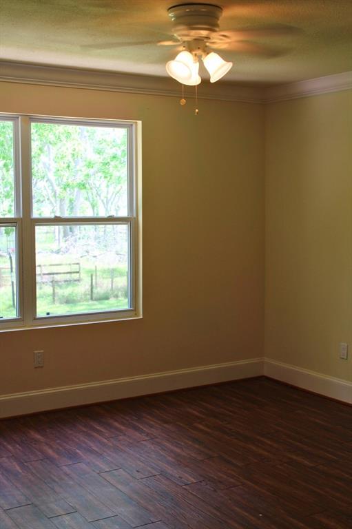8659 Halls Retreat Court, Missouri City, Texas image 32
