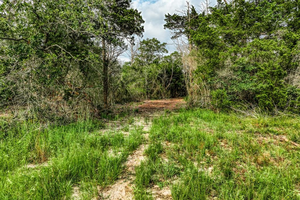 Tract 4 Wildlife Circle, Carmine, Texas image 7