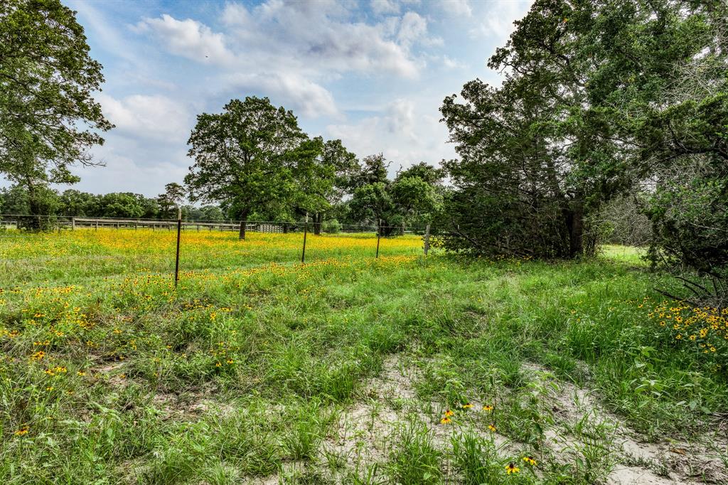 Tract 4 Wildlife Circle, Carmine, Texas image 3