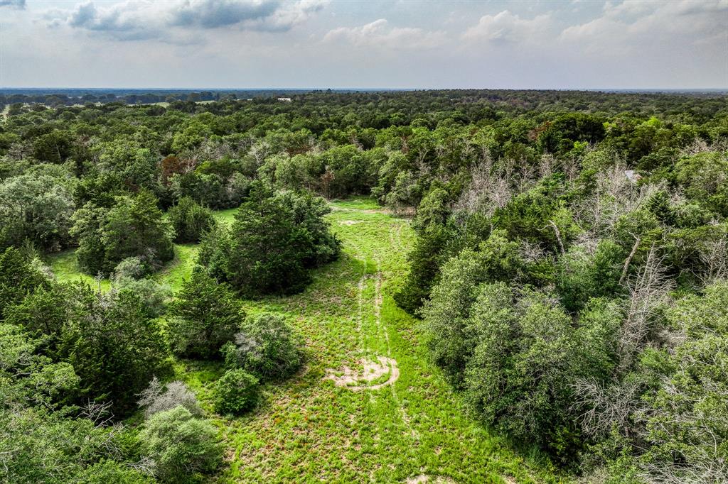 Tract 4 Wildlife Circle, Carmine, Texas image 6